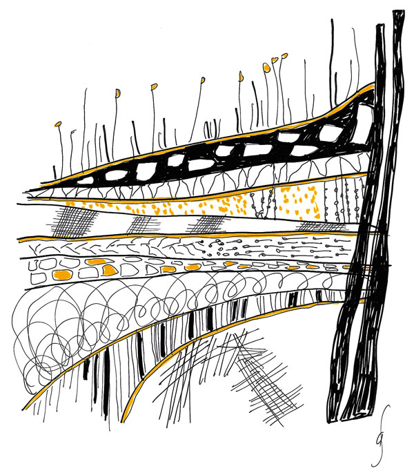 draft-#4-inside_600